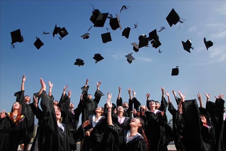 Graduate exploring IT career options and learning technical skills for future job opportunities